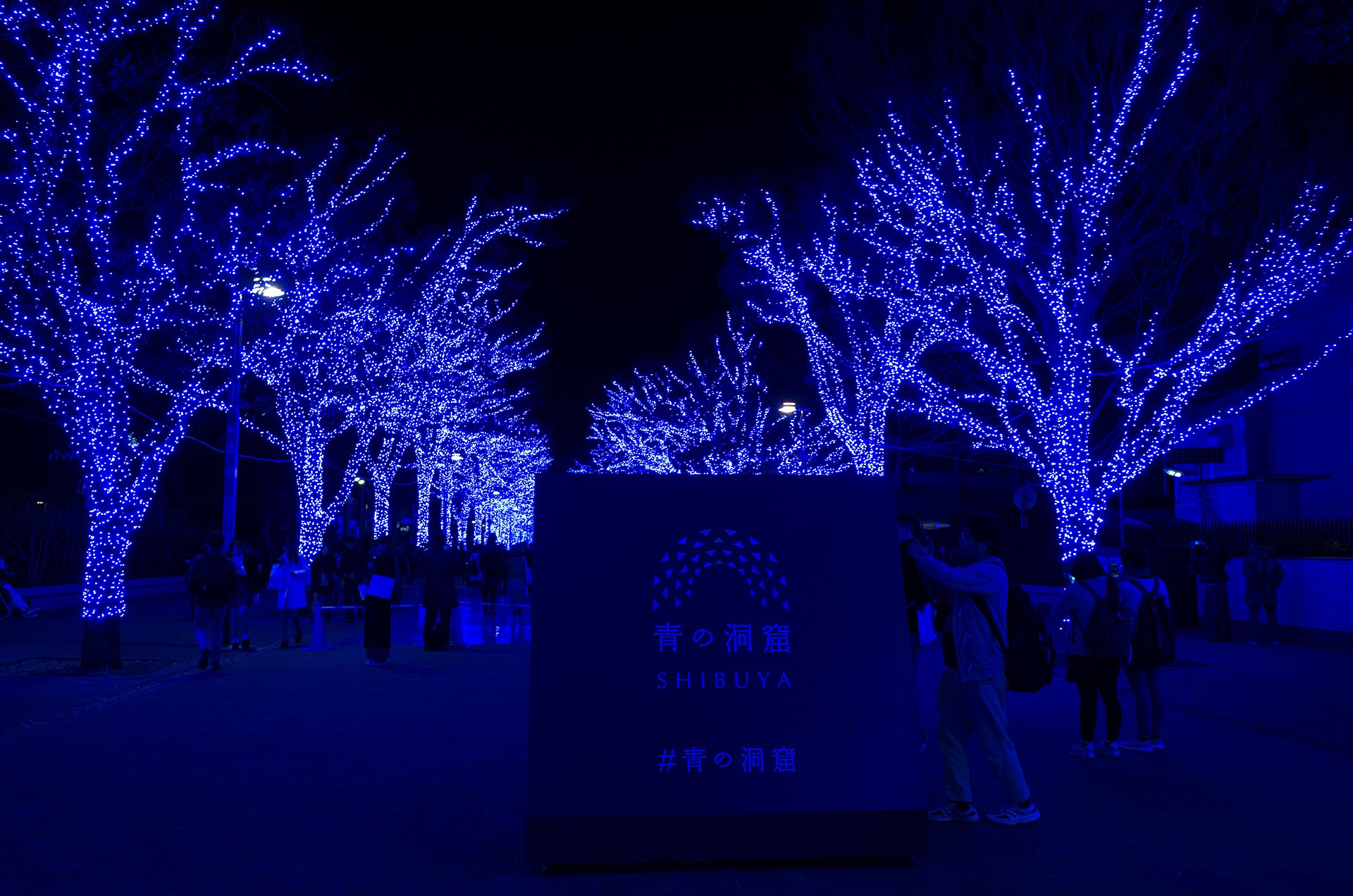 青の洞窟SHIBUYA01
