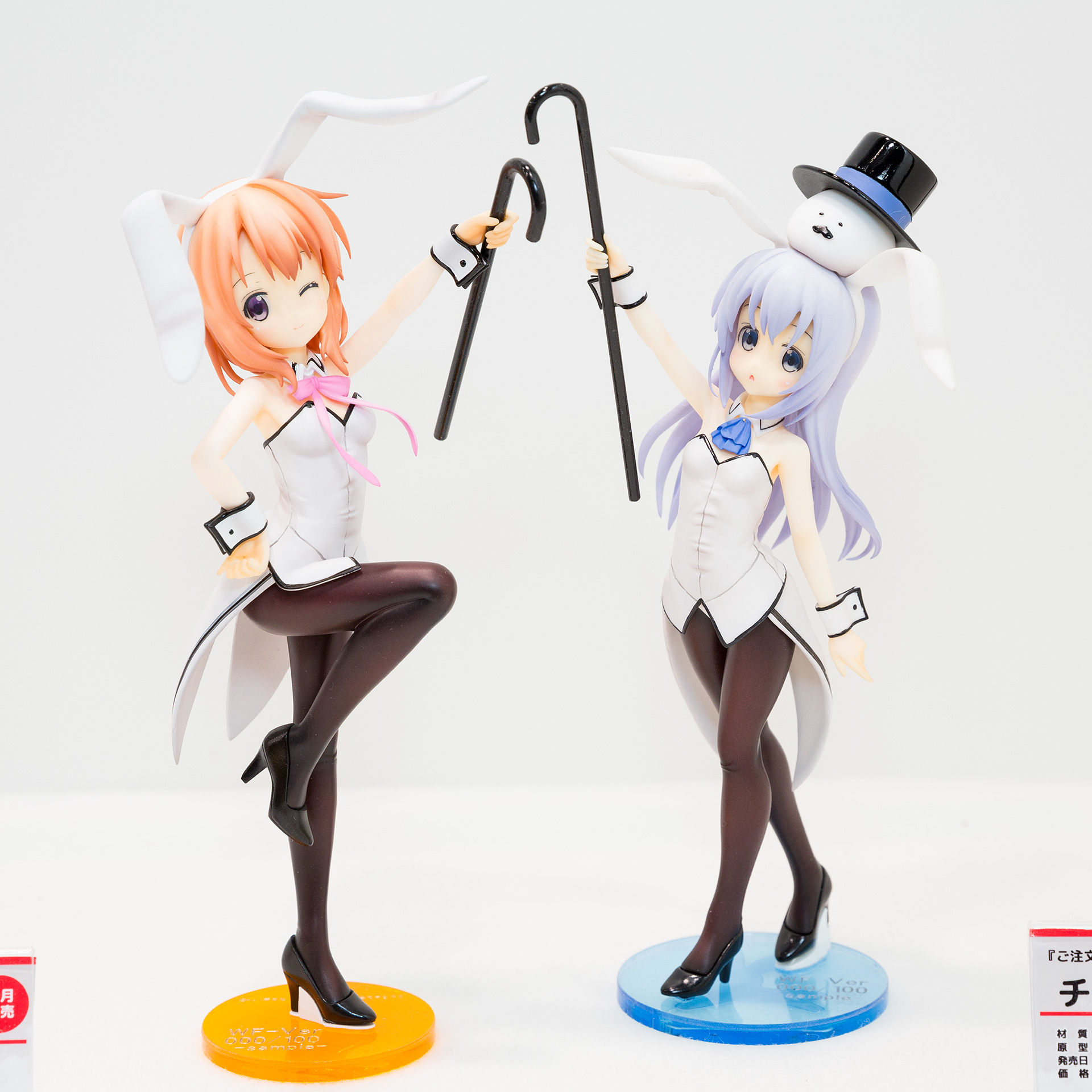 ココア/チノ