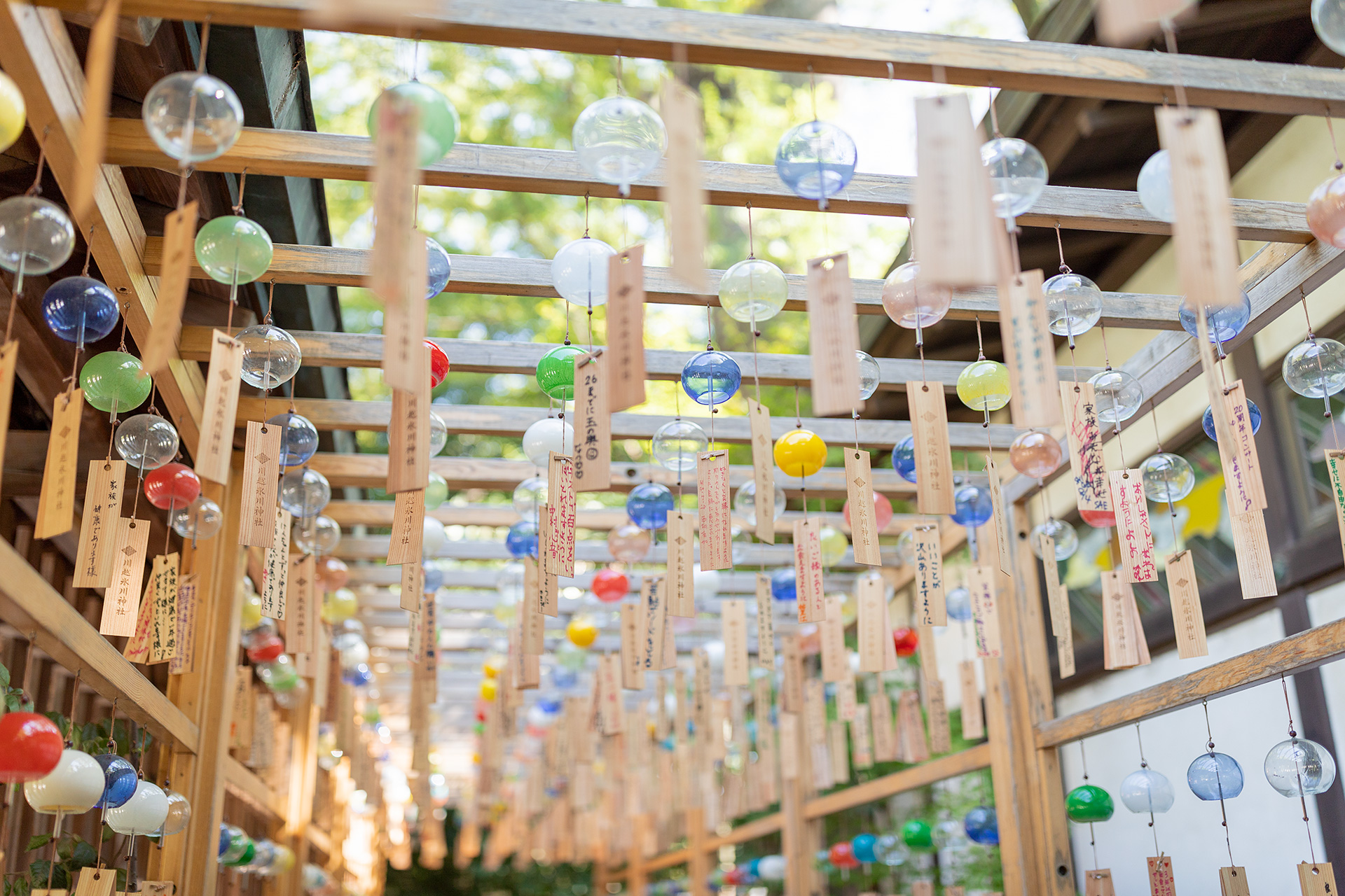 EF35mm F1.4L II USM 作例01