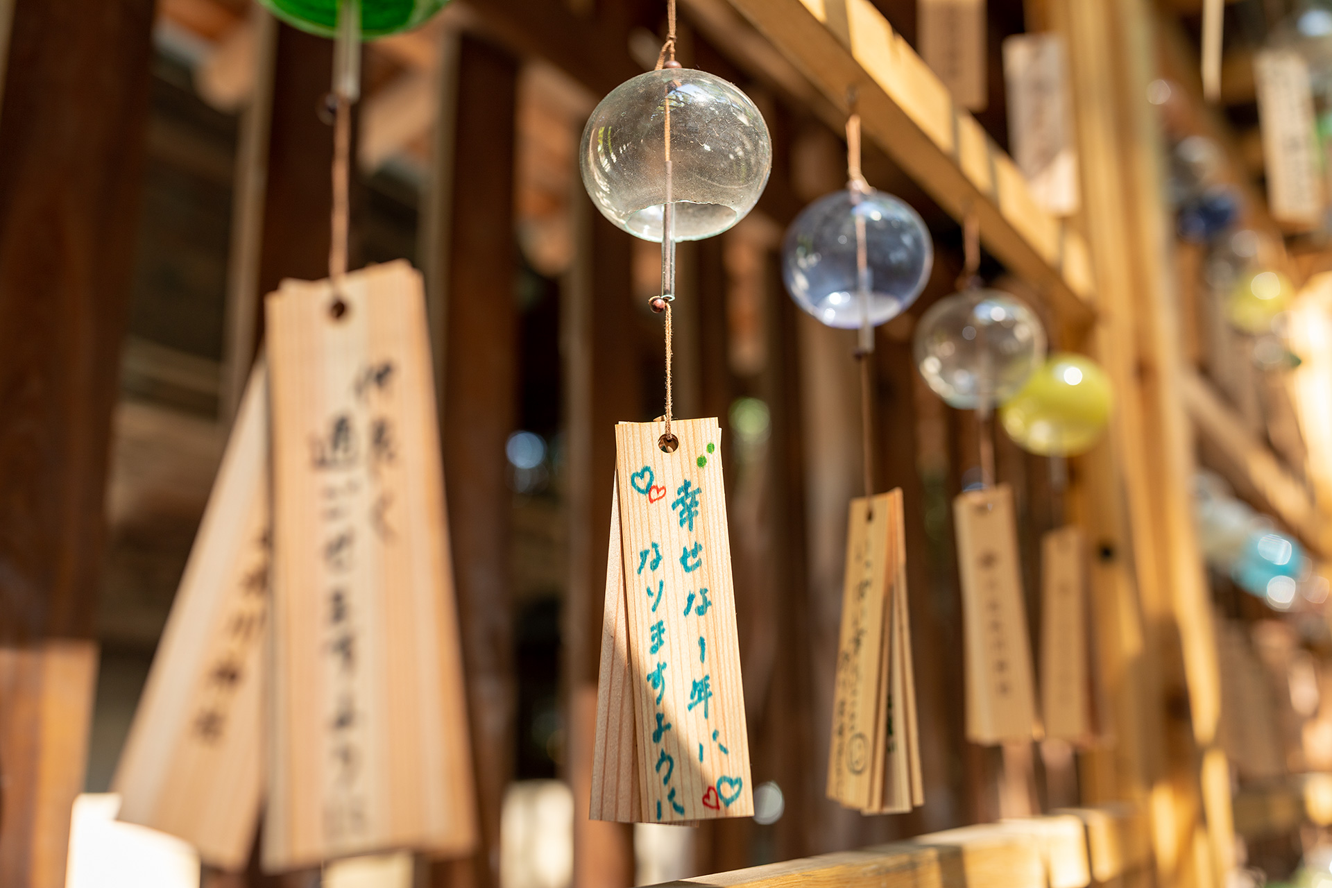 EF35mm F1.4L II USM 作例04