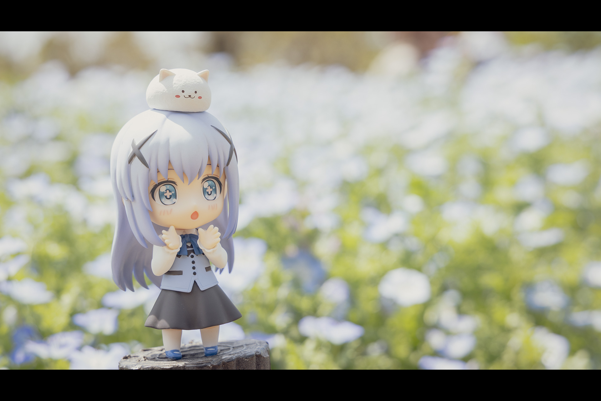 2019年上半期のお気に入り写真まとめ