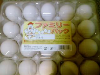 egg