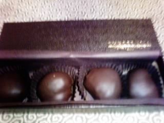 チョコ(さく)