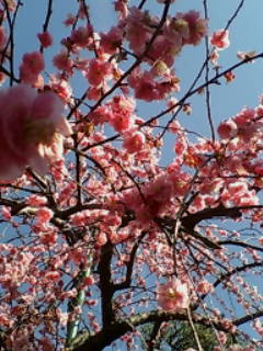 20070224_47764.jpg