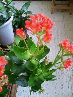20070402_97084.jpg
