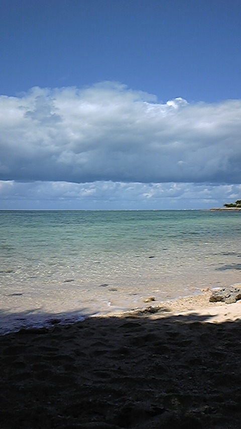 081008_134412.jpg