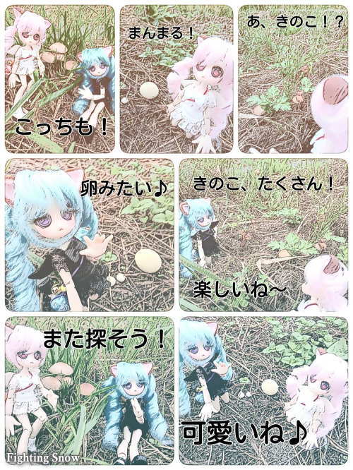 きのこ狩り/モモタン