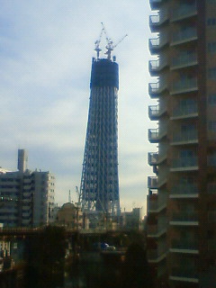 201001070854000.jpg