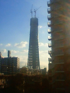 201001290806000.jpg