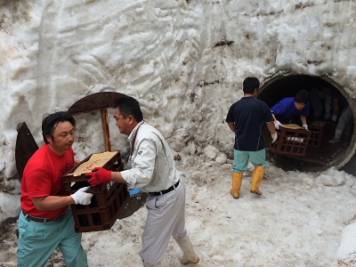 千代の光 雪室熟成酒 取り出し