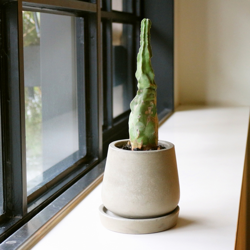 2020年02月26日の記事 | upstairs outdoor living shop staff blog