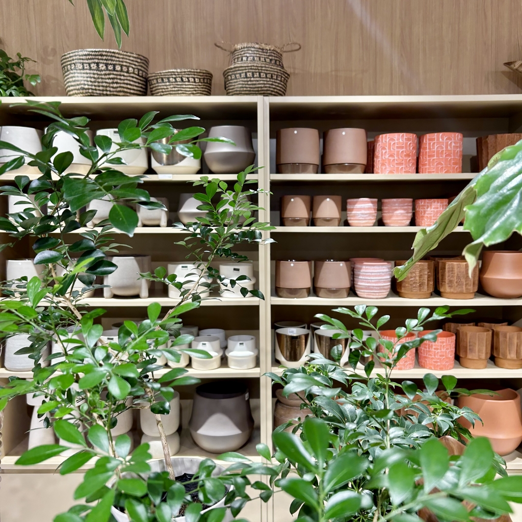 新商品》シンプルでなじみやすいデザインの鉢カバー | upstairs