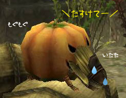 ޲ŽÀŽÀޥޥ¤¿¤Á¤±¤Æ¡¦¡¦