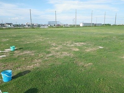 20100808-001.jpg