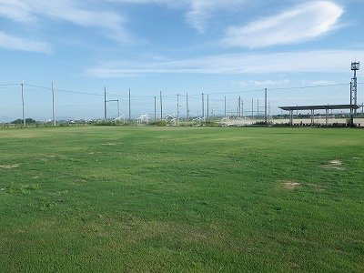 20100808-007.jpg