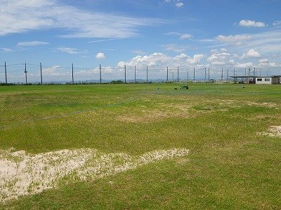 20100808-014.jpg
