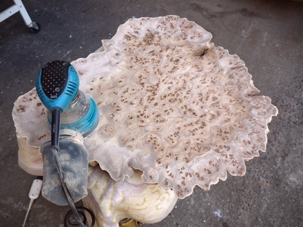 楡瘤（ニレコブ）のスライス | 一枚板ショールーム”ウッドランド” by