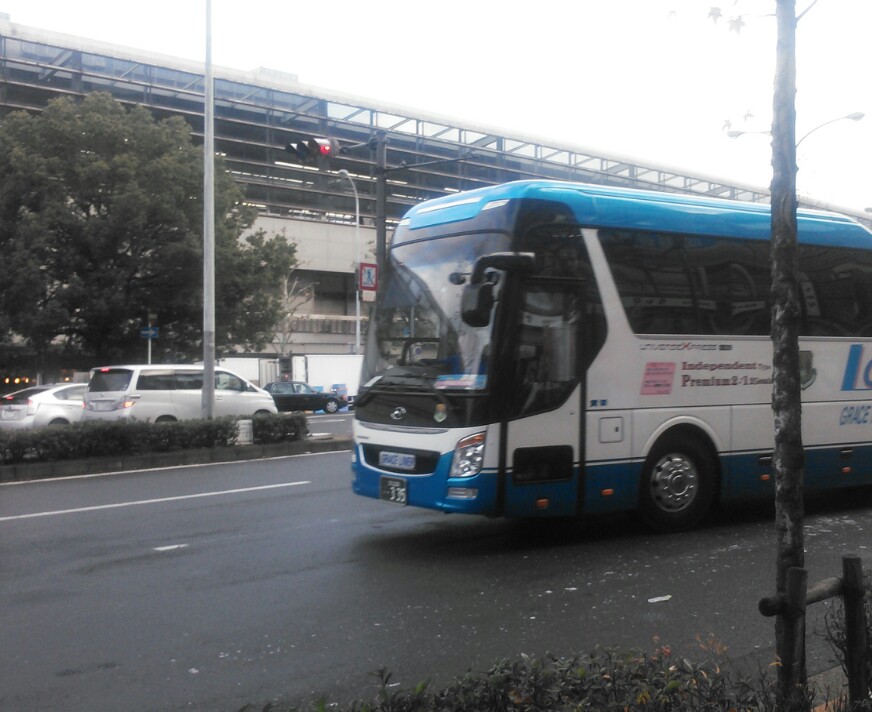 IMG_20121229_084301.jpg