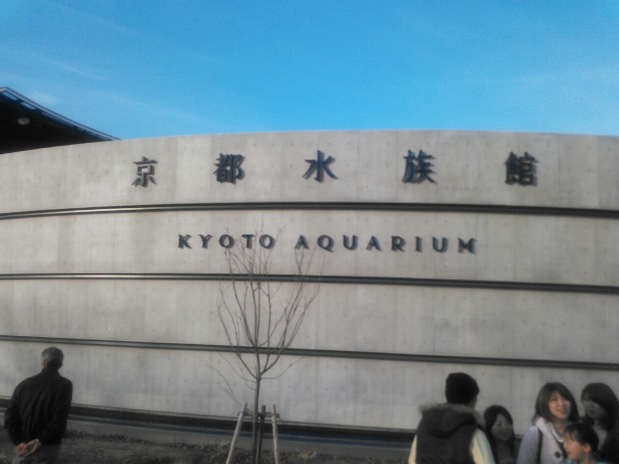 IMG_20121229_220643.jpg