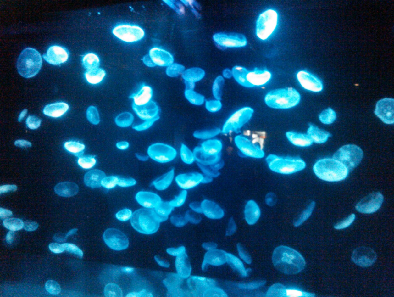 IMG_20121229_220720.jpg