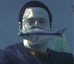 バクー星 魚