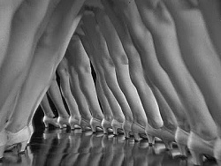 42nd Street legs