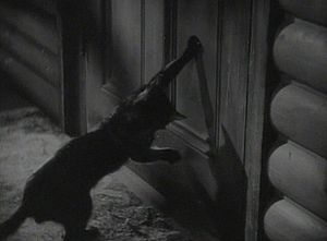 THE AWFUL TRUTH cat2