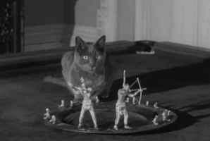 cat2