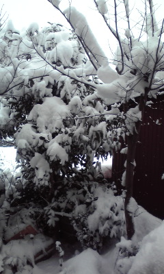120126_1017~02.jpg