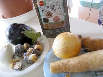 DHCカレーフレーク4