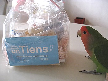 アンティアンお試しセット