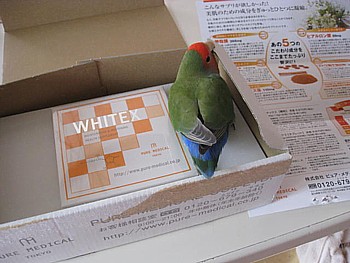 ホワイテックス