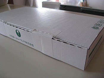 オリーブオイル9