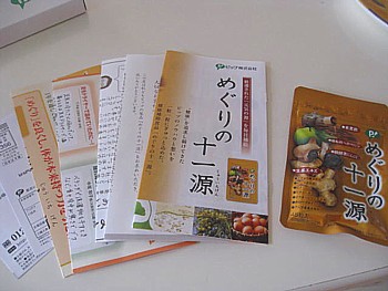 めぐりの十一源