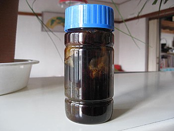 ハトムギ化粧水の作り方レシピ２ 美白に保湿までマルチに使えるハトムギ化粧水 美人ブログ