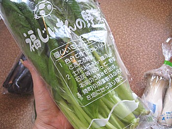 IMG_6645.JPG