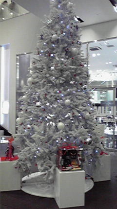 P1000261.jpg