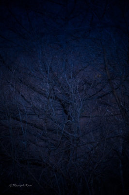 131120-IMG_2413-4