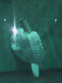 080821_1706~02.jpg