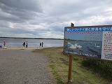 s-IMG_4864.jpg