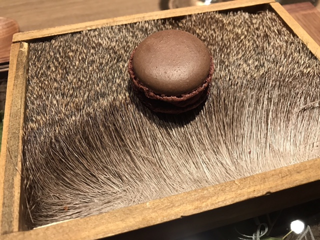 image1.JPG