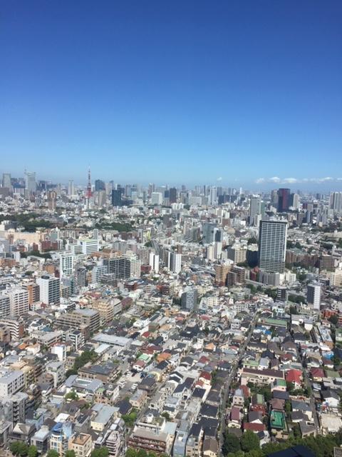 image1.jpeg
