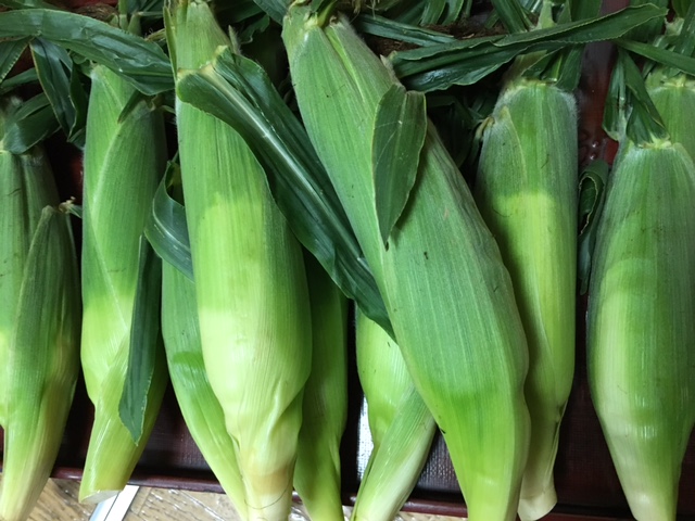 image1.JPG