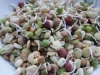 beansprouts