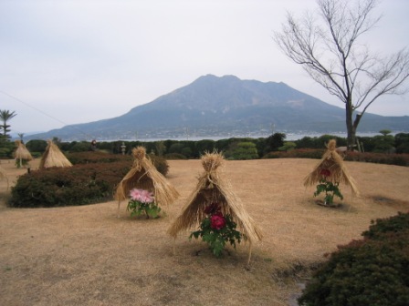 桜島