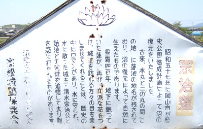 はず板