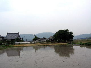 池