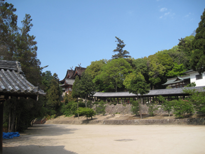 全景