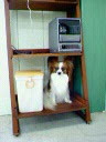 20050823_2202.jpg