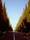 20051113_67121.jpg